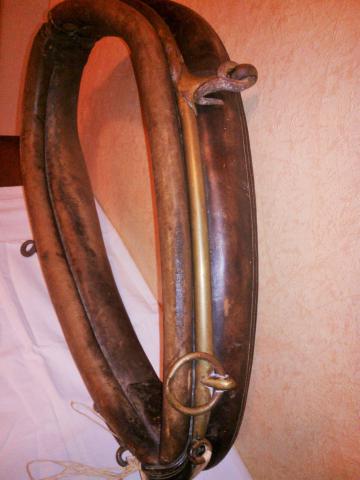 Colier d'ane du poitou