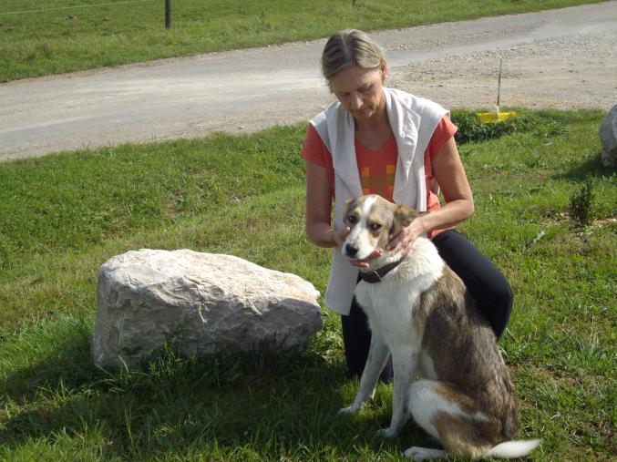 La Médecine Chinoise au Service des Animaux