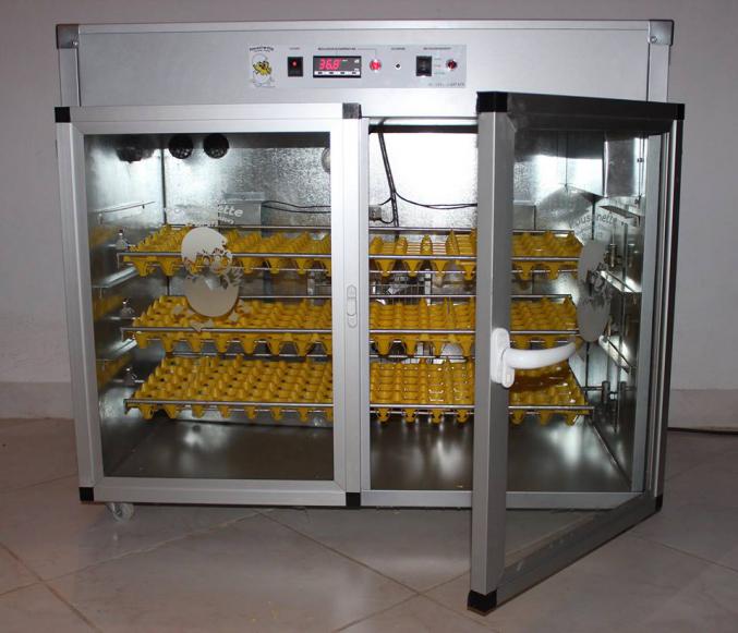 Incubateur couveuse matériel pour élevage poule