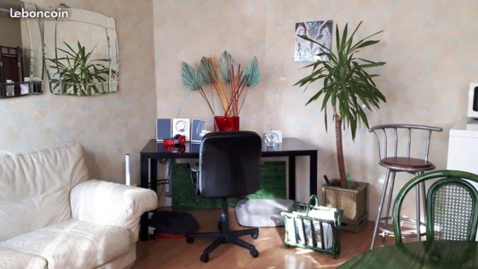 CHAMBRE D HOTE 350 €/MOIS DANS APPARTEMENT DUPLEX