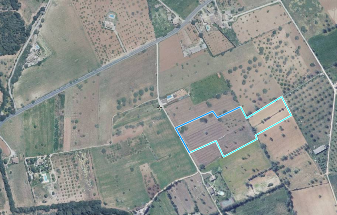 Finca Rústica pour la vente en Cas Concos, Mallorca