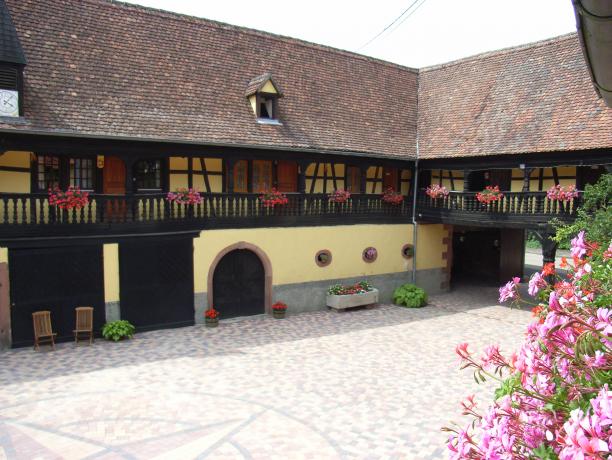 Issenhausen - GÎTE A LA FERME "LE COQUELICOT"