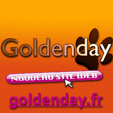 Garde animaux à votre domicile