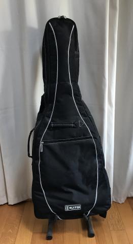 Guitare folk Takamine G series