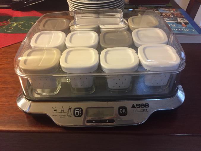 Yaourtiere multi delice