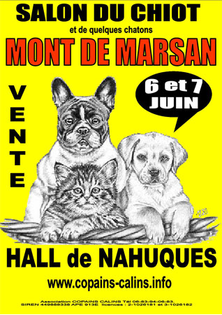 Salon animalier chiots chatons 6 et 7 juin mont de marsan