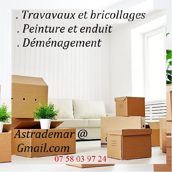 Tout bricolage, montage de meuble, peinture, enduit, parquet, sol pvc