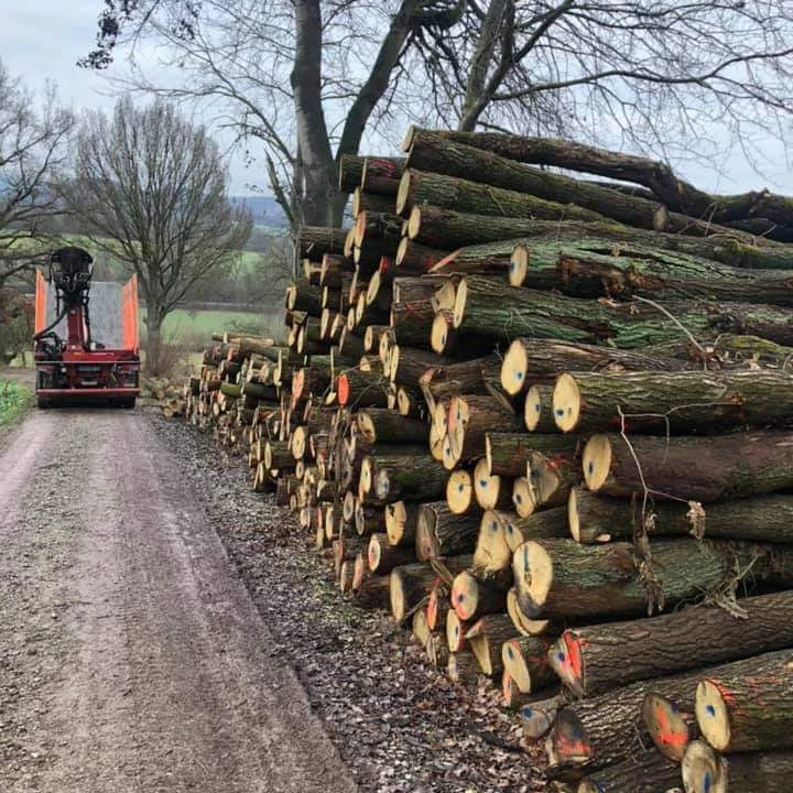 Bois de chauffage sec prêt à brûler