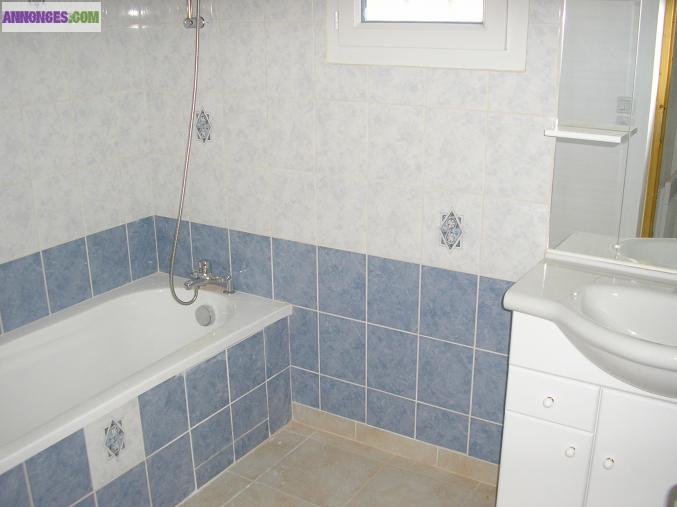 Appartement 3p avec terrasse + jardin