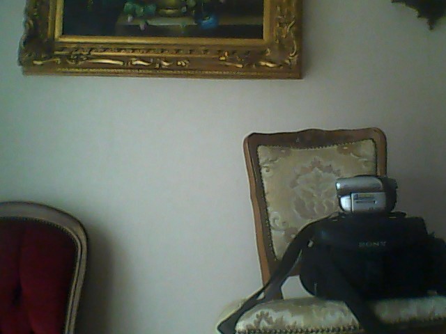 CAMESCOPE SONY DVD HAYDECAM 