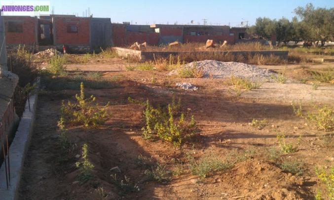 Terrain en tunisie