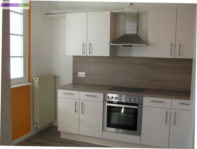 Spacieux F3-F4 de 120 M2  remis à neuf