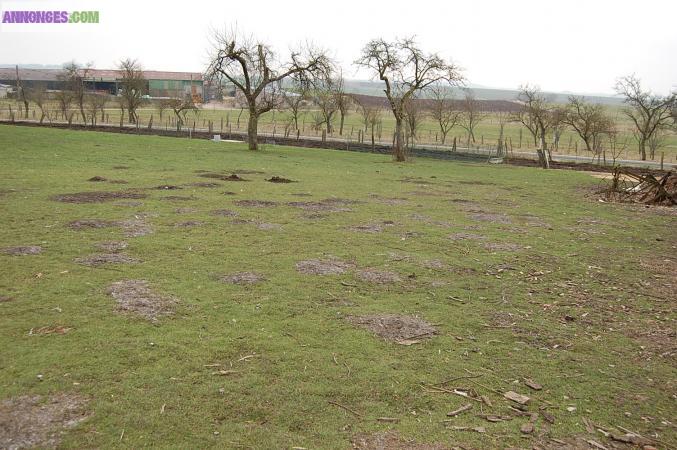 BEAU TERRAIN A BÄTIR