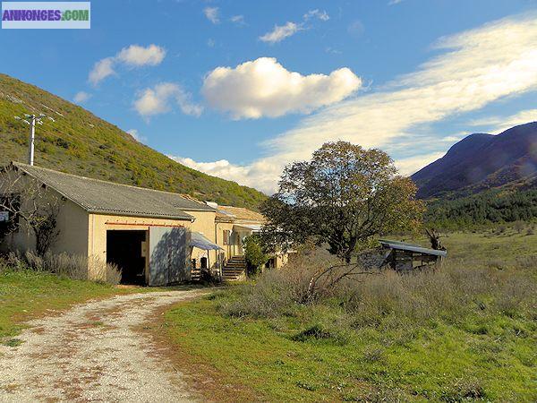 Vente Bergerie en Provence