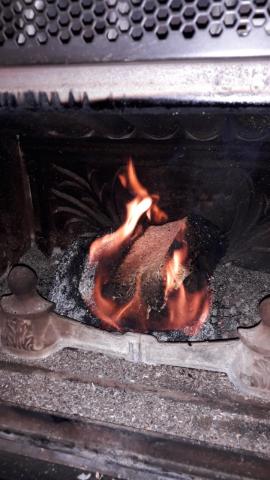 Bois de chauffage bûches de bois densifié