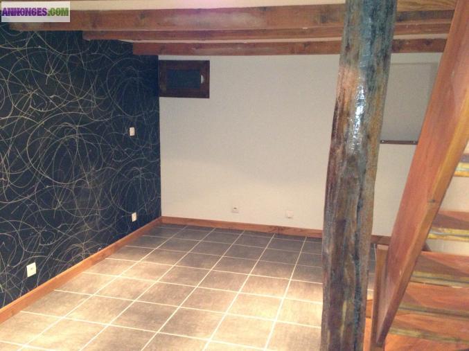 PARTICULIER Appartement T2 BIS avec terrasse et jardin