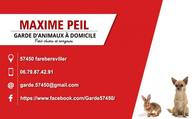 Garde d'animaux a domicile