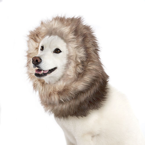 Peluca para perros color marrón león 40 cm