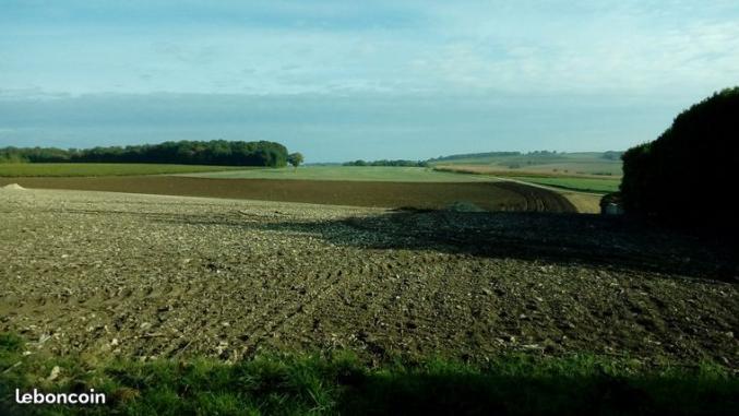 3 grands terrains n-v libres constructeurs près d'ANGOULEME