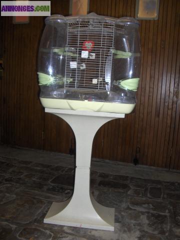 Cage à oiseaux