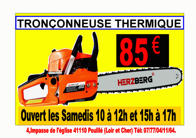  Tronçonneuse thermique