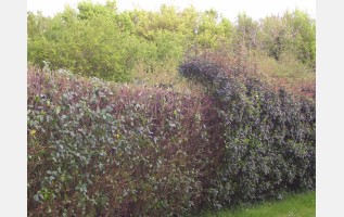 Pour tous vos travaux