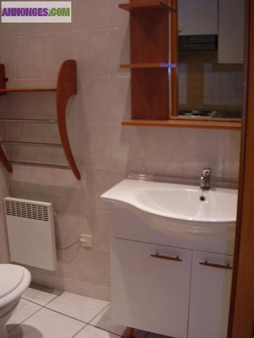 Meublé 28 m2 Nantes