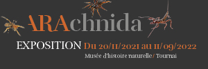 Exposition Arachnida