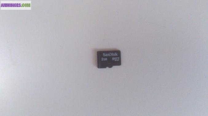Carte micro sd 2 GO de la marque sandisk