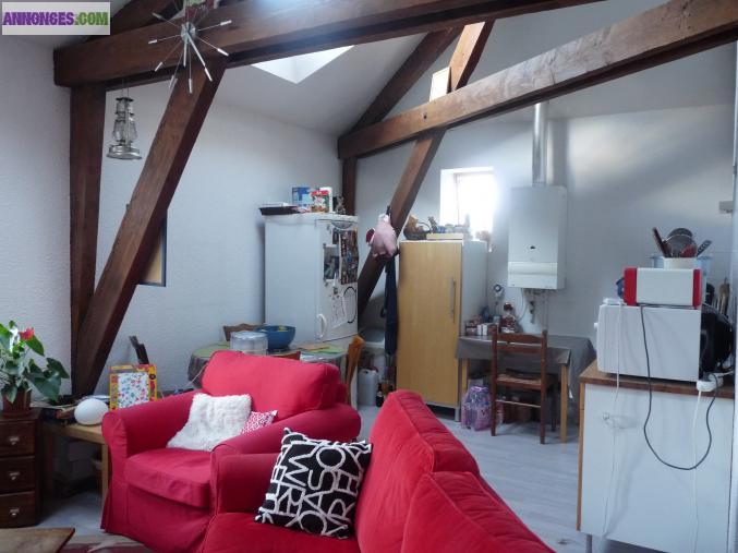 APPARTEMENT 3 PIECES A SAINT MAX CENTRE