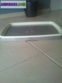 Tapis propreté chien