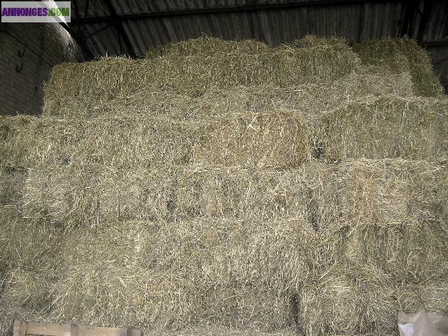 Petits ballots de foin