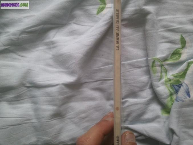 La mare au diable de george sand