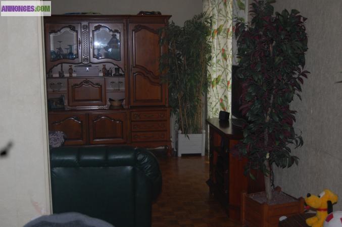 Vend appartement T4-5