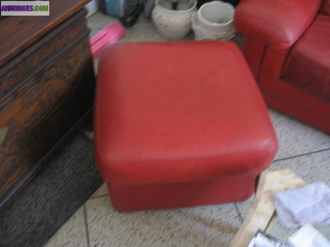 Ensemble de canapés en cuir