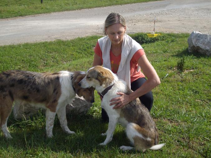 La Médecine Chinoise au Service des Animaux