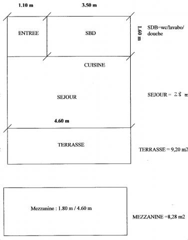 Studio mezzanine dans immeuble de standing