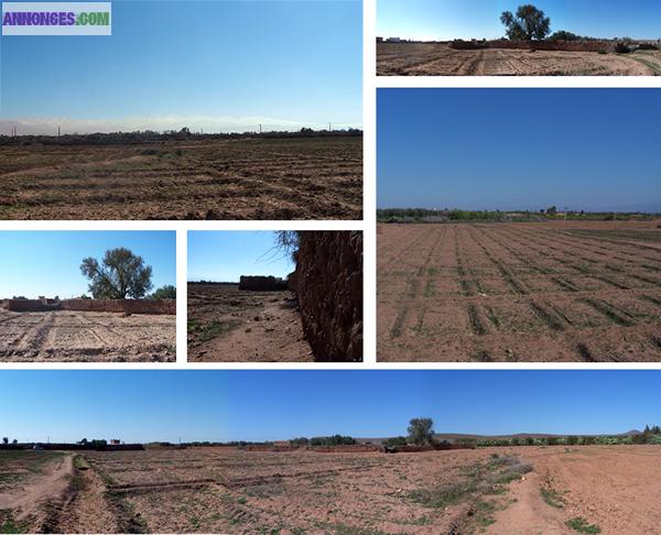 TERRAIN SUR LA ROUTE DE FES avec eau, électricité et puits
