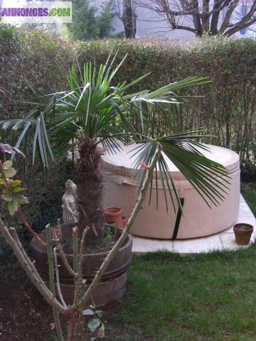 Loue T2 meublé en RDJ avec jacuzzi