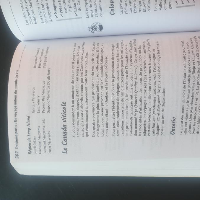 Guide le vin pour les nuls