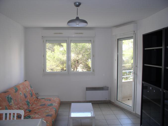 A louer beau T2 proximité Facs Hôpitaux