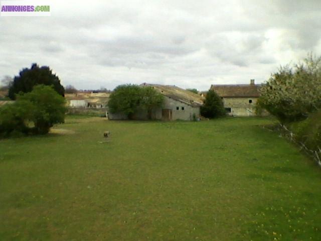 Sur 1 HECTARE ancienne FERME EQUESTRE