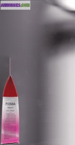 Cartouche CANON rose