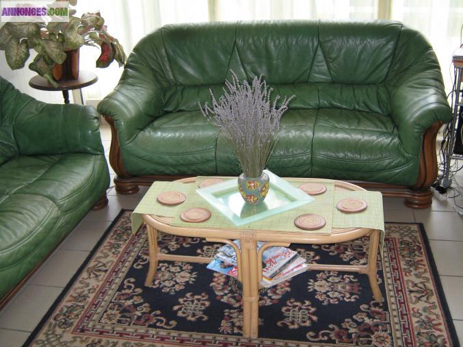 Canapés cuir buffle