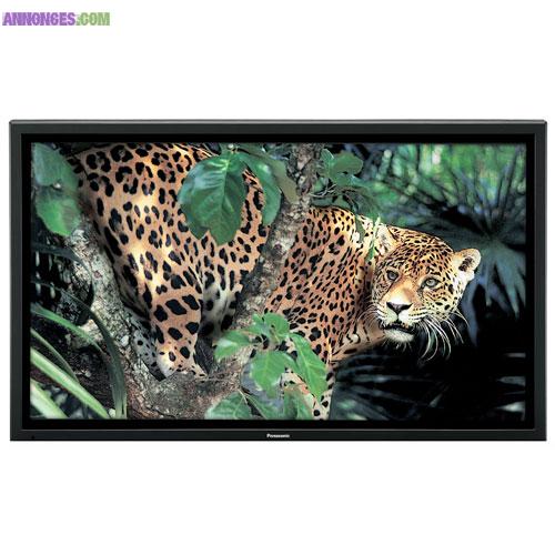 Ecran Plasma Professionnel 50"
