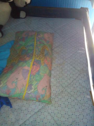 Mezzanine teintée bleu