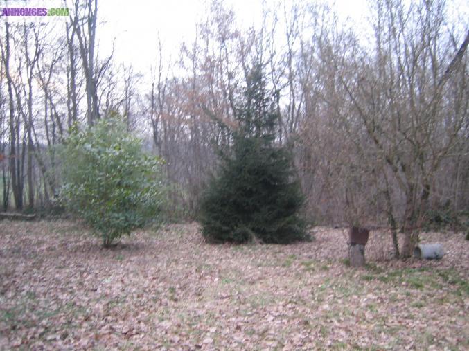 ENTRE NEMOURS ET MONTARGIS