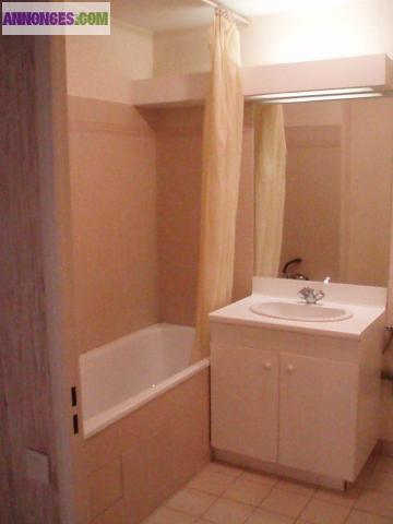 T2 centre ville ST Etienne