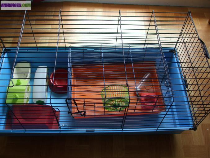 Cage cobaye