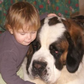 Enfant attend ses grands parents de coeur